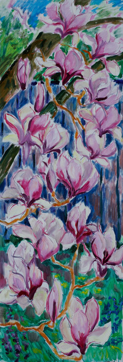 Magnolie