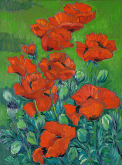 Mohn