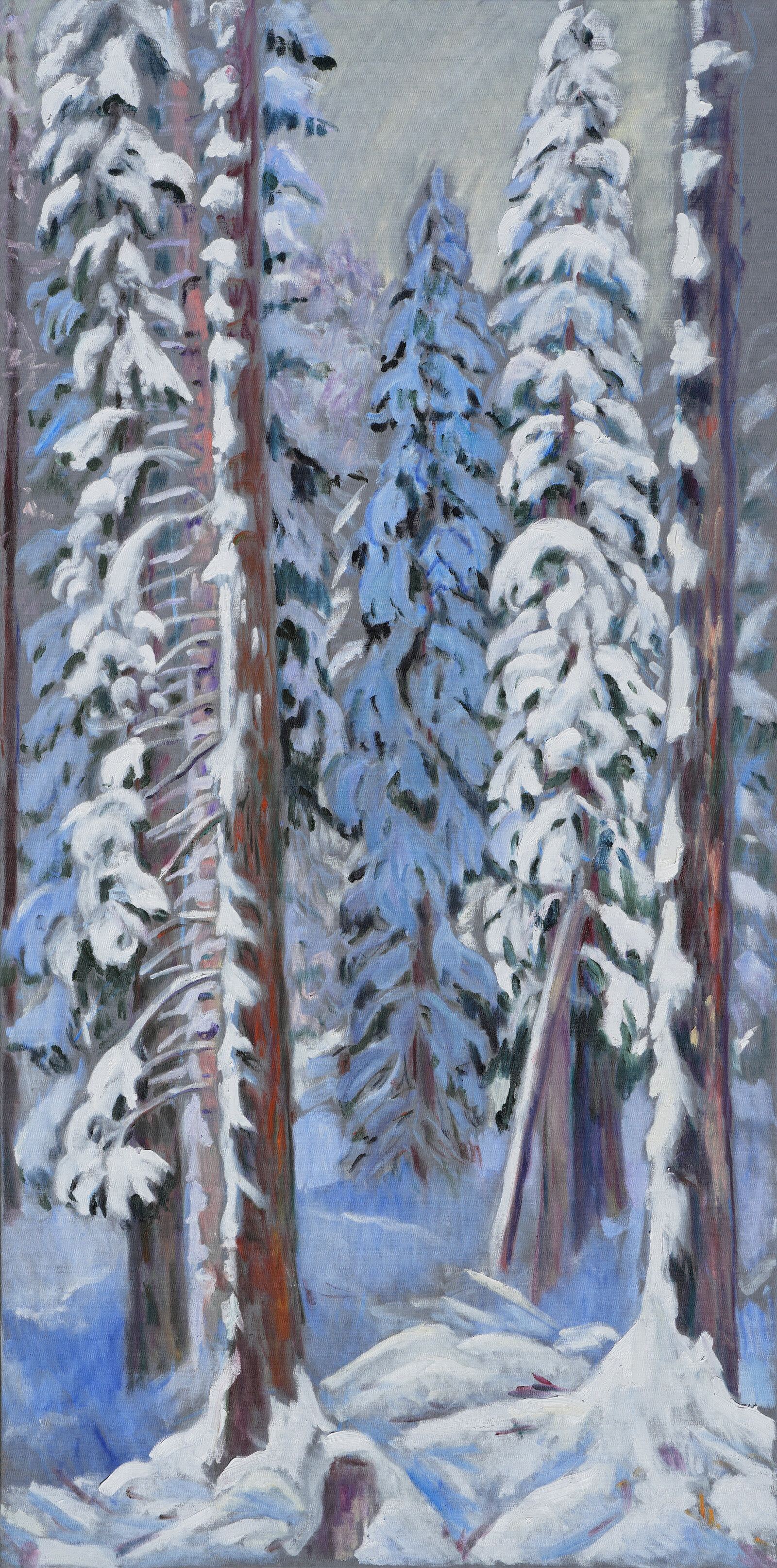 Winterwald, frischer Schnee