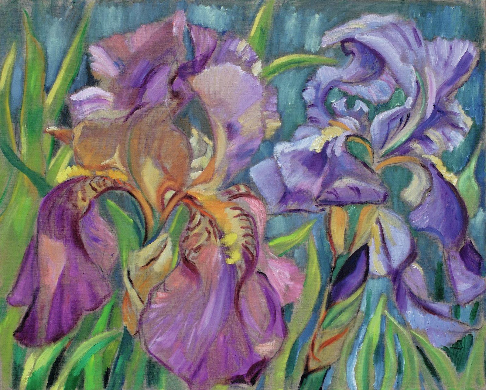 Iris