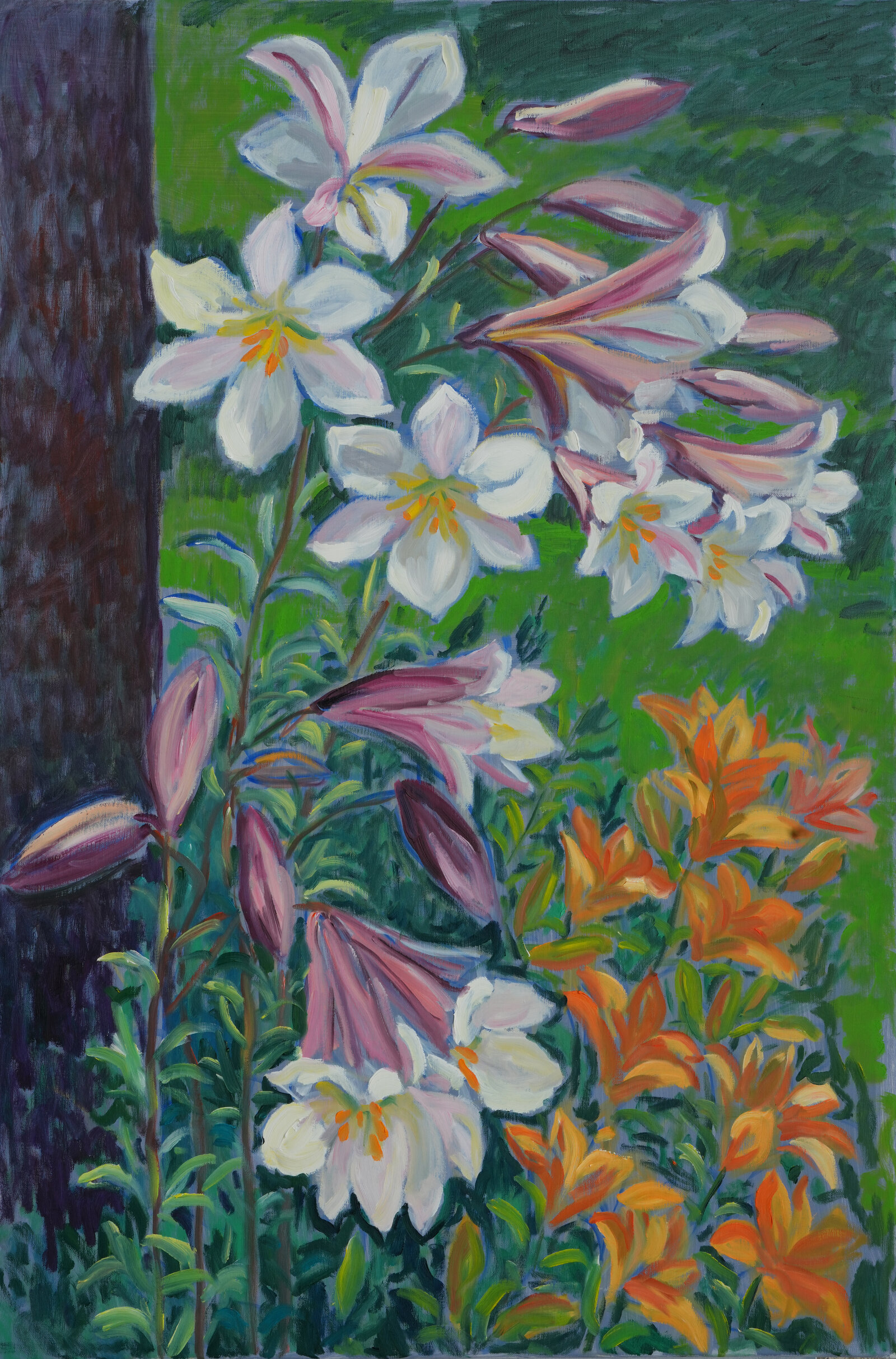 Lilien