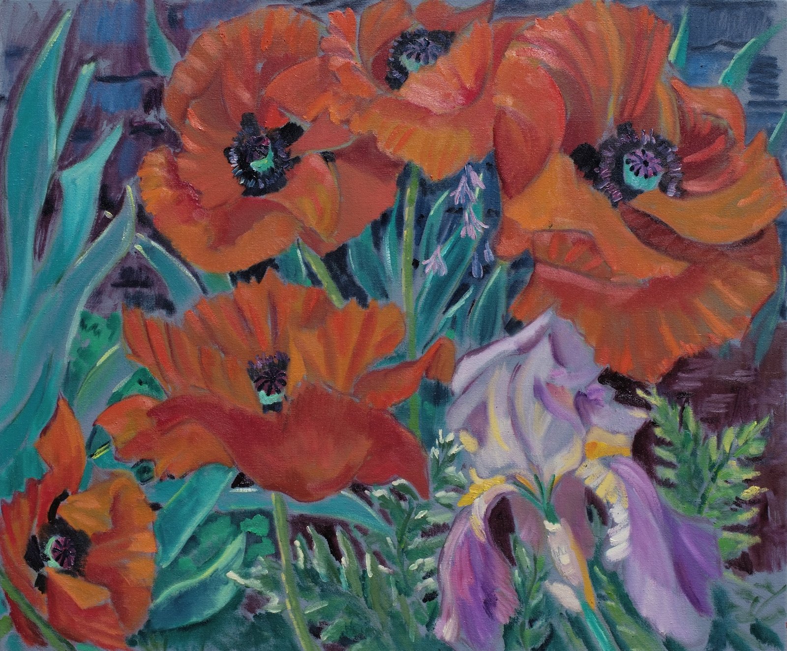 Mohn und Iris