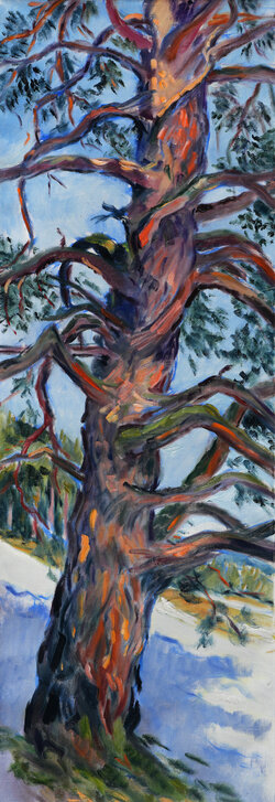 Einsame Föhre im Schnee