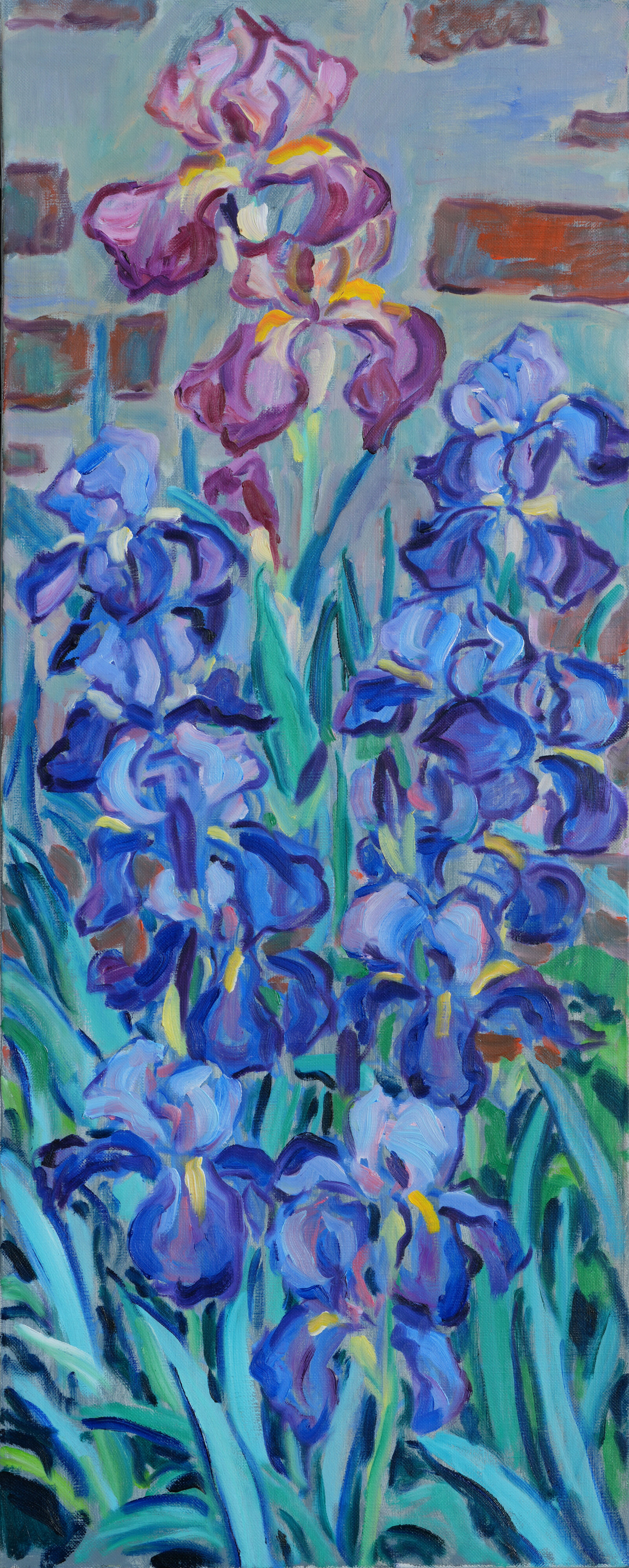 Iris