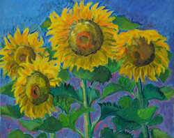 Sonnenblumen