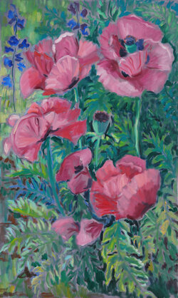 Rosa Mohn
