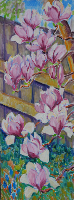Magnolienblüten