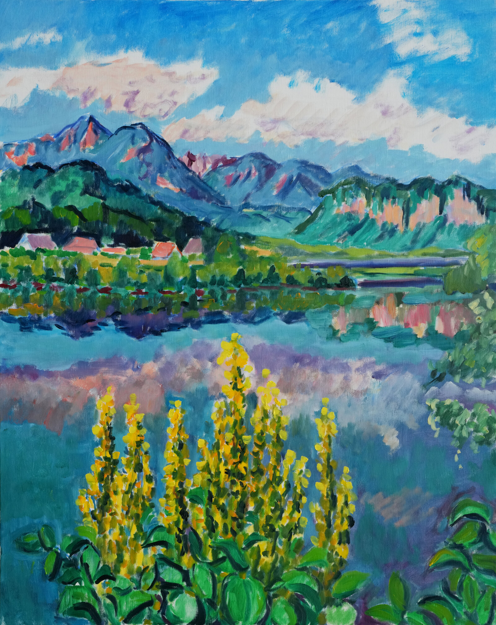 Königskerzen bei der Drau