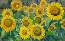 Sonnenblumen