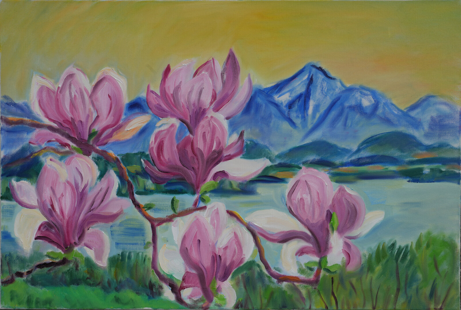Magnolien, Saharastaub