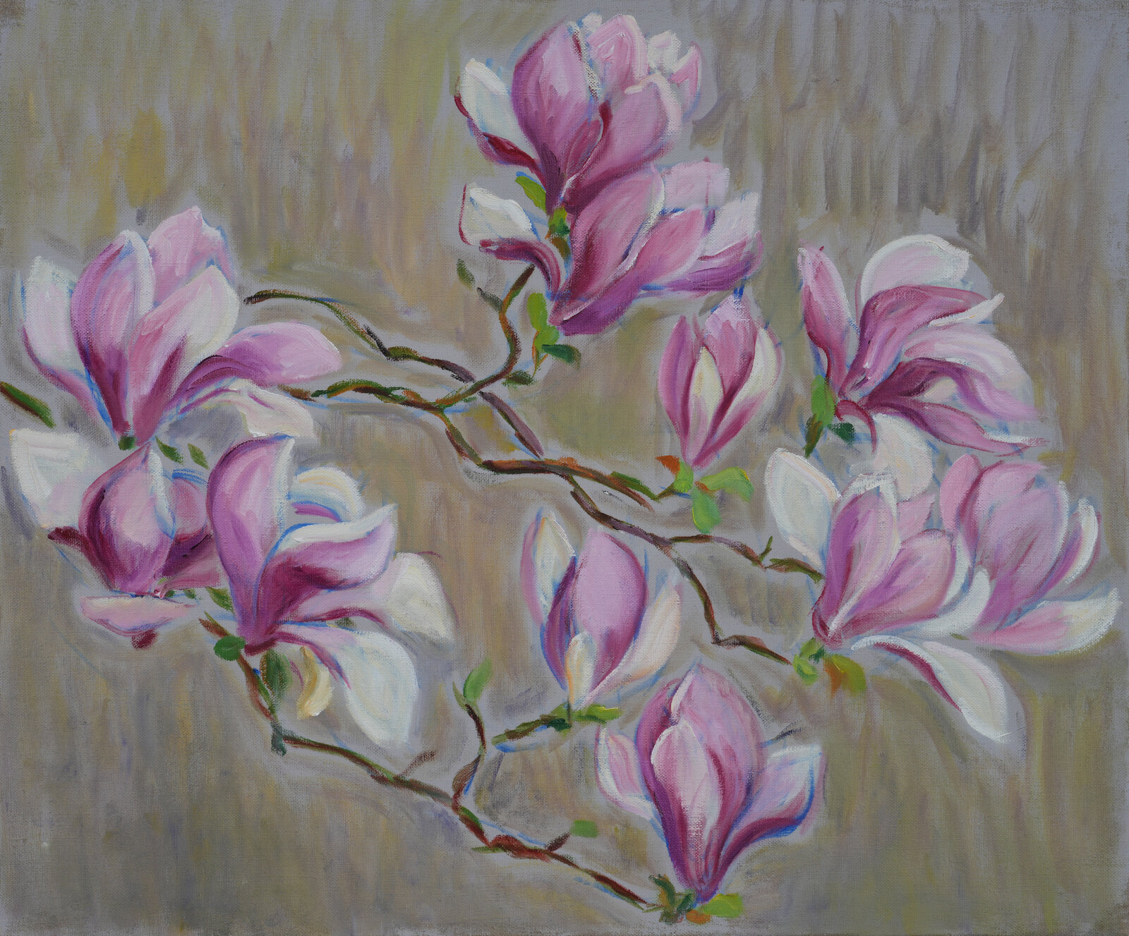 Magnolienblüten