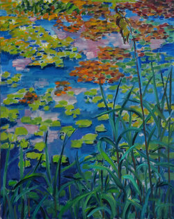 Wasserpflanzen, Sommerteich
